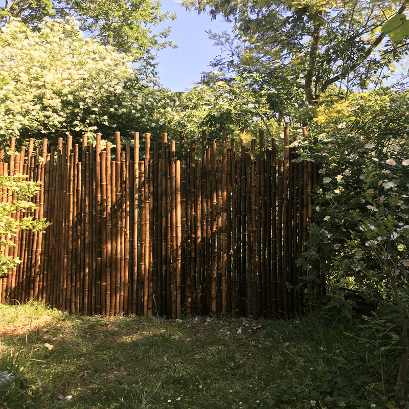 Clôture Bambou Noir gamme Japonaise Irrégulière TITI / 5-JBF250