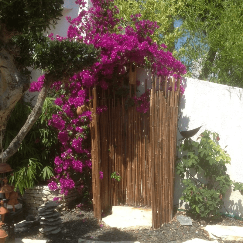 Clôture Bambou Noir gamme sauvage irrégulière LUTO / 2-WBF200 – Image 3