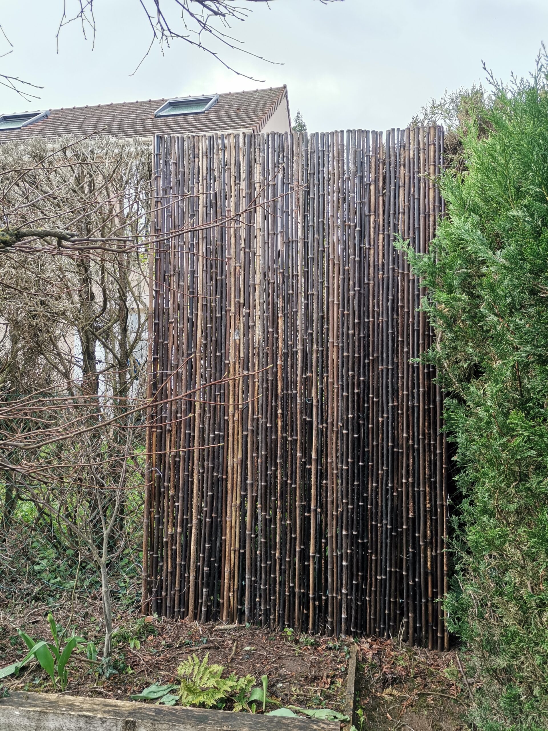 Clôture, Brise vue Bambou Noir Gamme Régulière DOTU / 2-RBF200 – Image 2