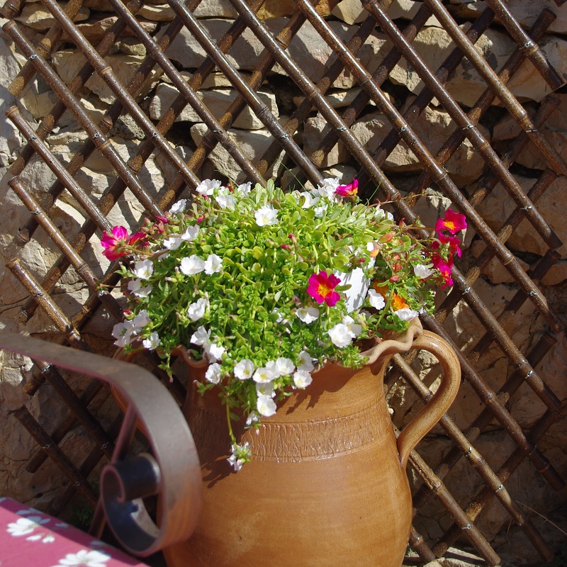 Treillis bambou noir 150x150cm TOPA / TBM150 – Image 4