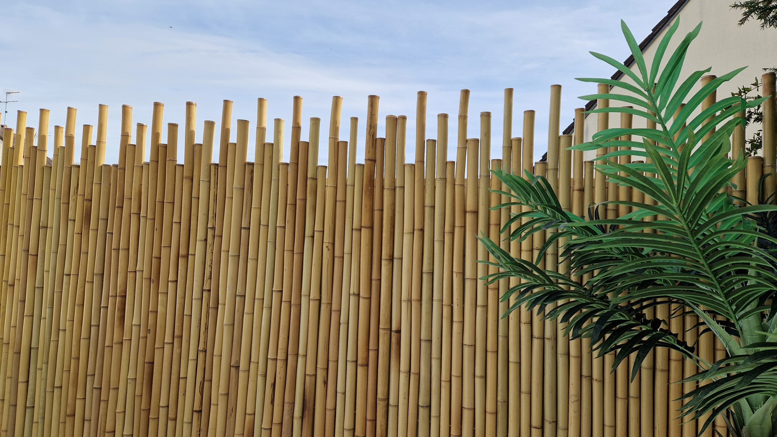 Clôture Bambou Naturel et Zen gamme Japonaise irrégulière SURO / 5-JF150 – Image 3