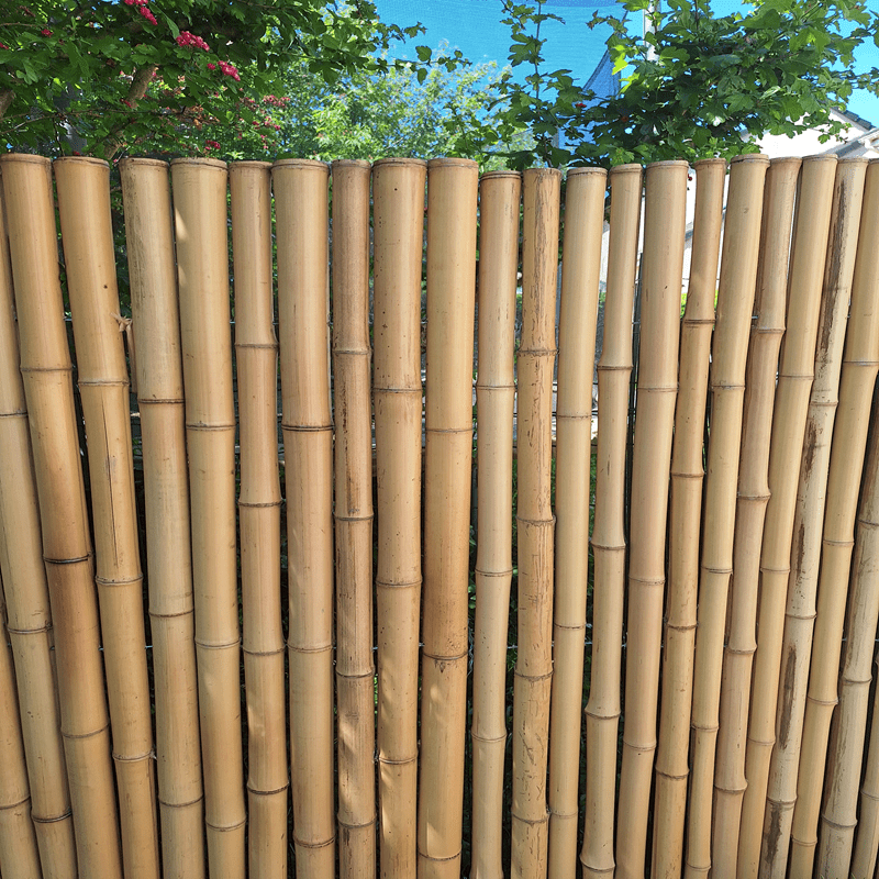 Clôture Bambou Occultante Gamme Régulière Naturel DITO / 5-RF200 – Image 4
