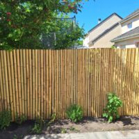 Clôture Bambou Occultante Gamme Régulière Naturel LISA / 7-RF150