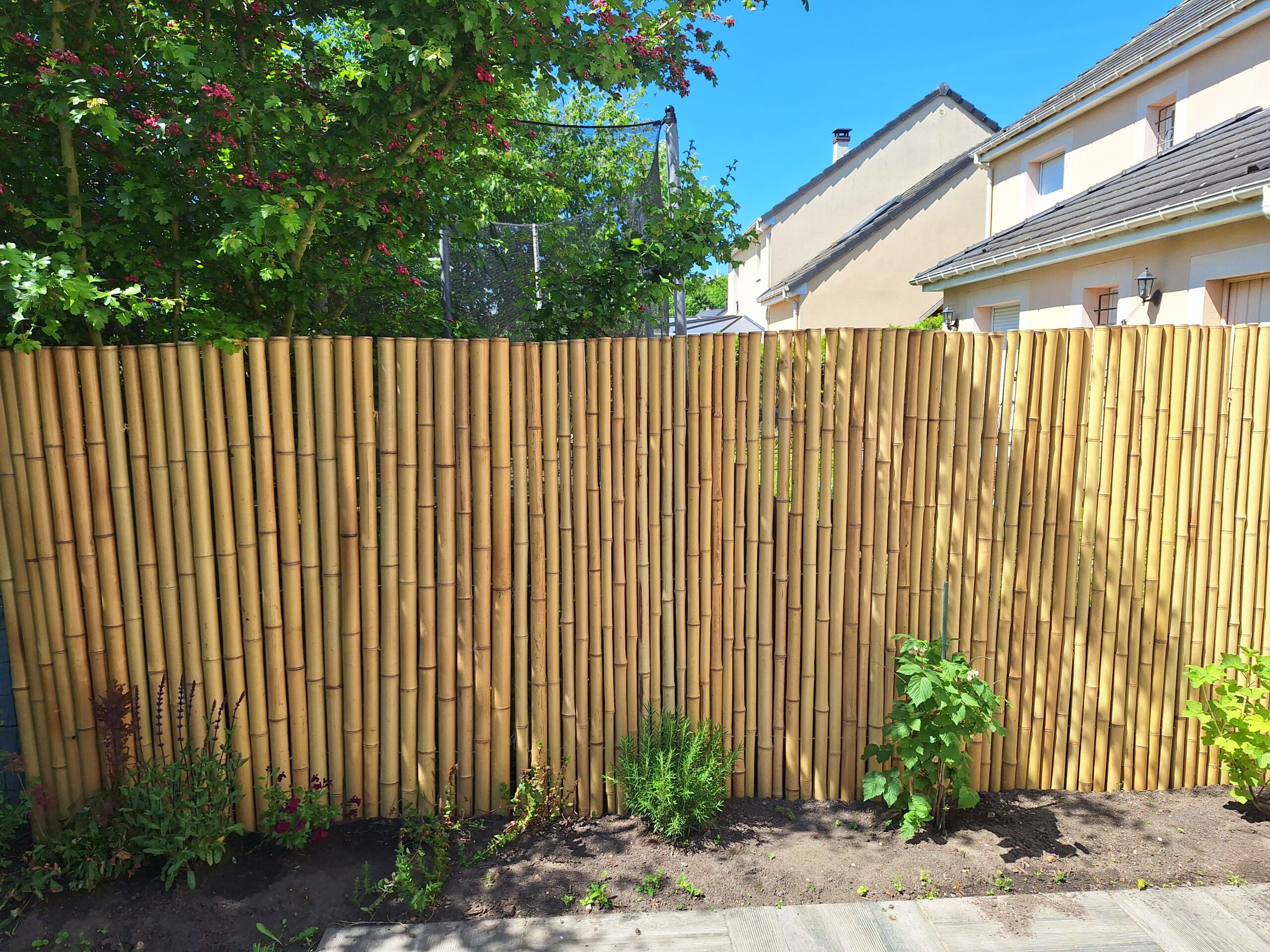 Clôture Bambou Occultante Gamme Régulière Naturel LISA / 7-RF150 – Image 2