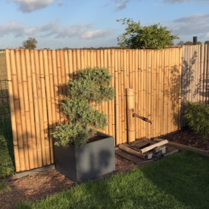 Clôture Bambou Occultante Gamme Régulière Naturel PITA / 5-RF150 – Image 6