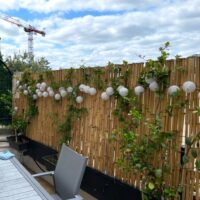 Clôture, Brise vue Bambou Palissade Naturelle Gamme Régulière BRIA / 2-RF150