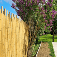 Clôture Bambou Naturel gamme Japonaise irrégulière TOPI / 5-JF200
