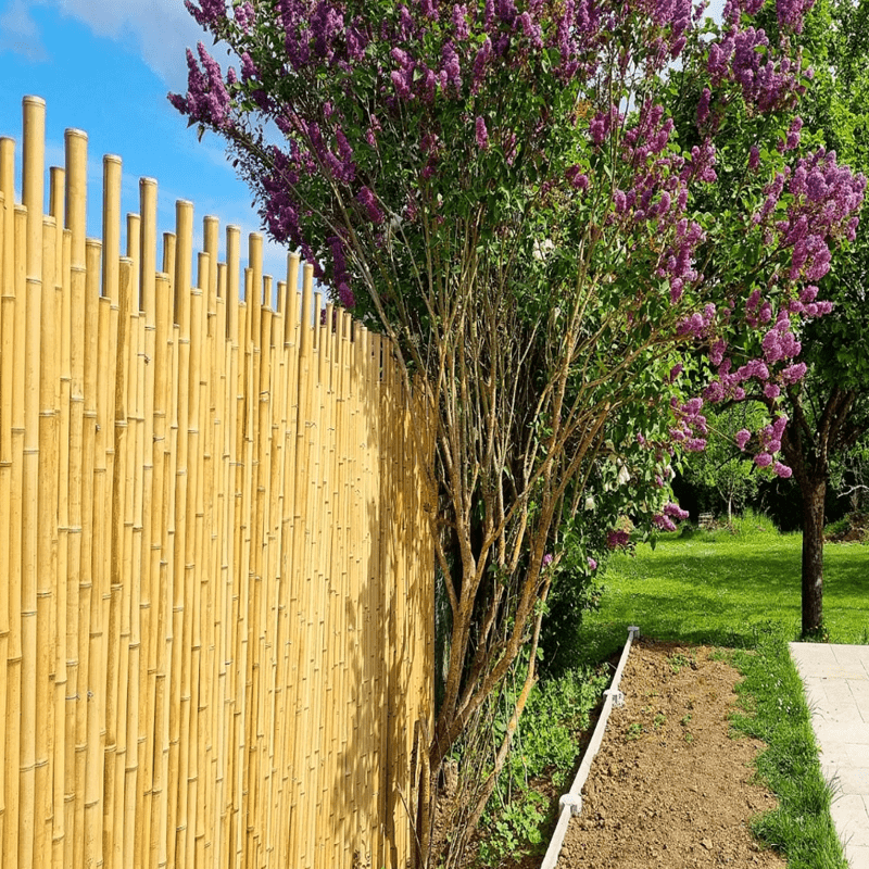 Clôture Bambou Naturel gamme Japonaise irrégulière TOPI / 5-JF200 – Image 2