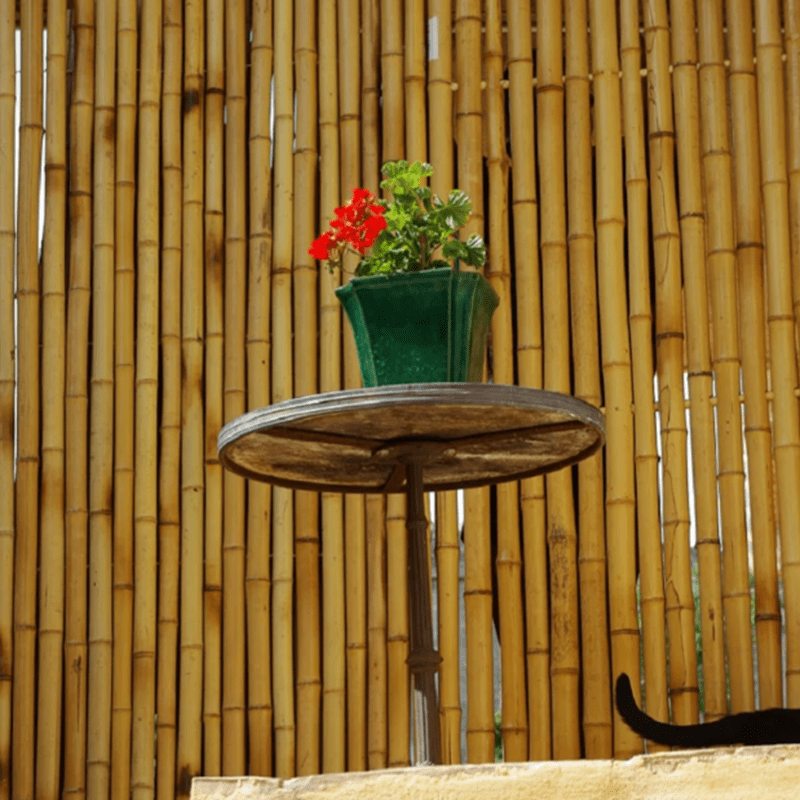 Clôture Bambou Occultante Gamme Régulière Naturel LETO / 7-RF200 – Image 2