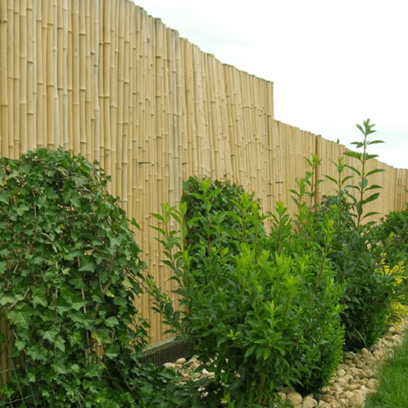 Clôture Bambou Occultante Gamme Régulière Naturel LETO / 7-RF200 – Image 4