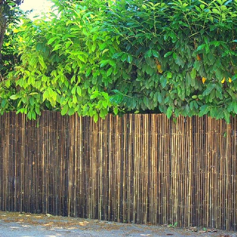 Clôture Bambou, Claustra Noir Gamme Régulière CETA / 2-RBF150