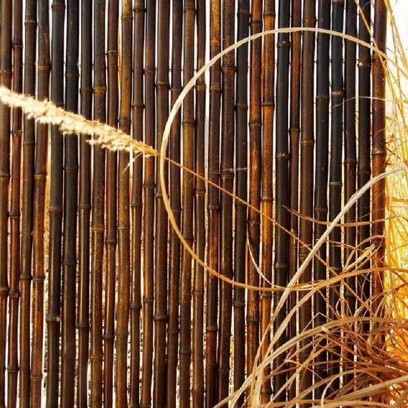 Clôture Bambou Noir Occultante Gamme Régulière MIDO / 5-RBF100 – Image 2