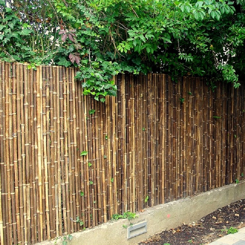 Clôture, Séparation Bambou Noir Occultante Gamme Régulière TOZI / 5-RBF150