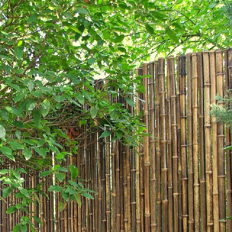 Clôture Bambou, Claustra Noir Occultante Gamme Régulière VUNI / 5-RBF200 – Image 4