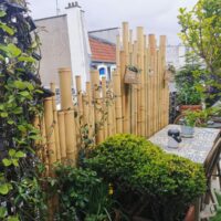 Clôture Bambou Naturel Gamme Zen Irrégulier WITO / ZF150