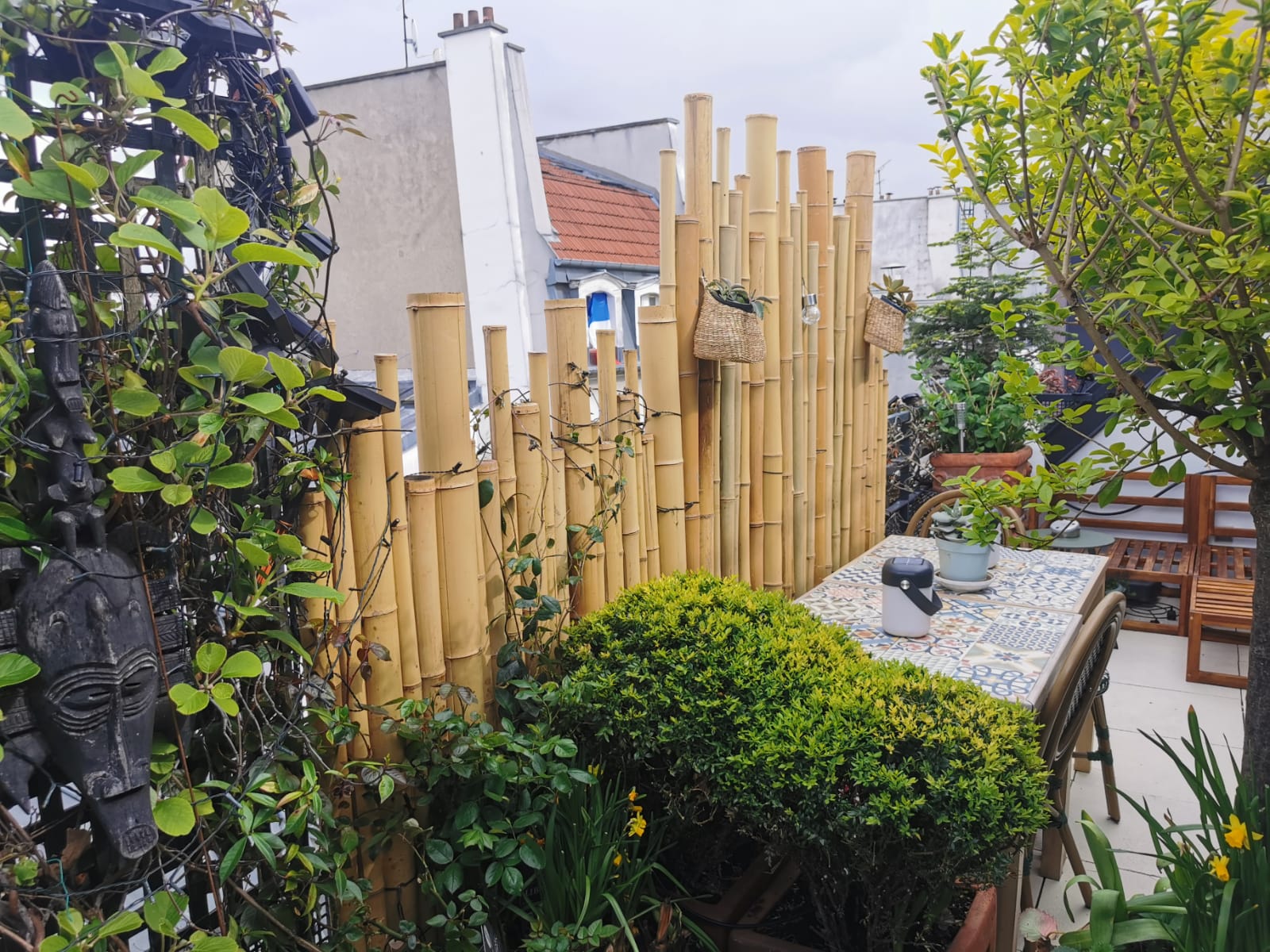 Clôture Bambou Naturel Gamme Zen Irrégulier WITO / ZF150 – Image 2