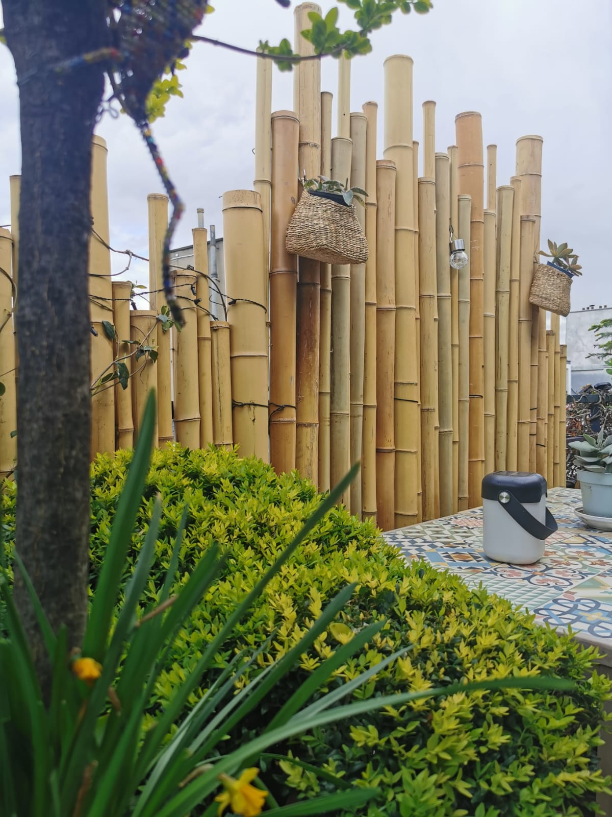 Clôture Bambou Naturel Gamme Zen Irrégulier TIKO / ZF200 – Image 6