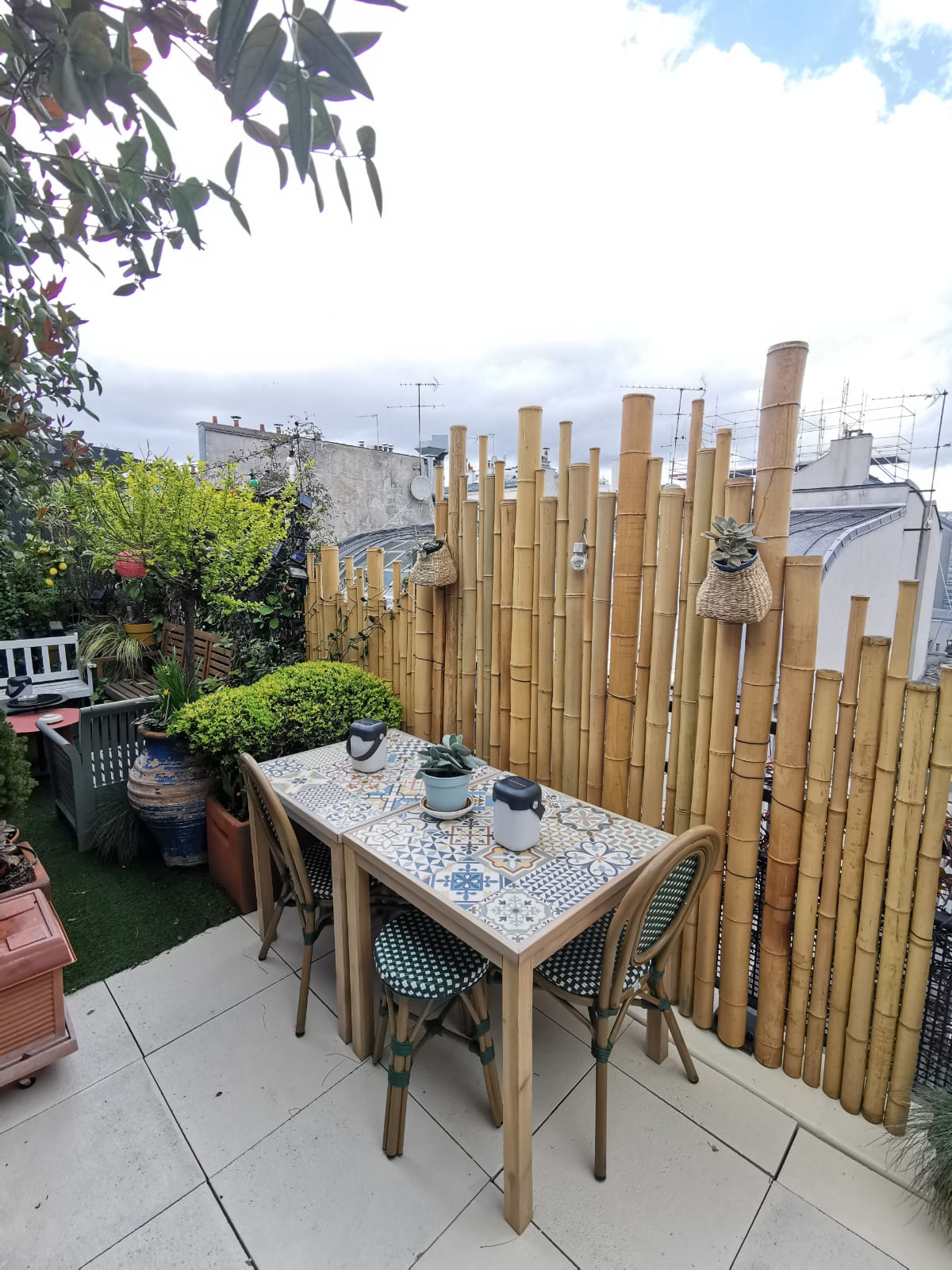 Clôture Bambou Naturel Gamme Zen Irrégulier WITO / ZF150 – Image 3