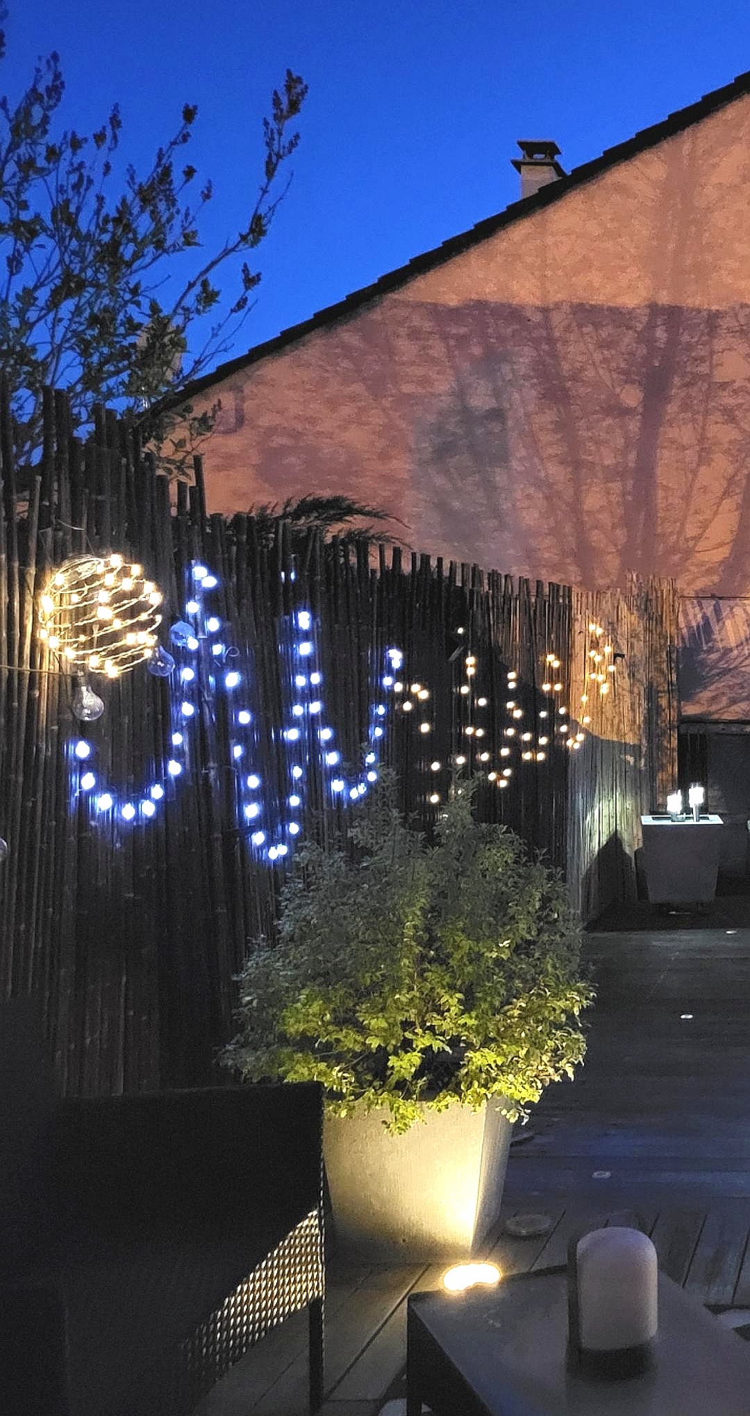 Clôture Bambou Noir Sauvage Irrégulière DUSI / 2-WBF150 – Image 5