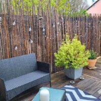 Clôture Bambou, Palissade Noir Gamme Sauvage Irrégulière PASO / 2-WBF250