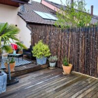 Clôture Bambou Noir Sauvage Irrégulière DUSI / 2-WBF150