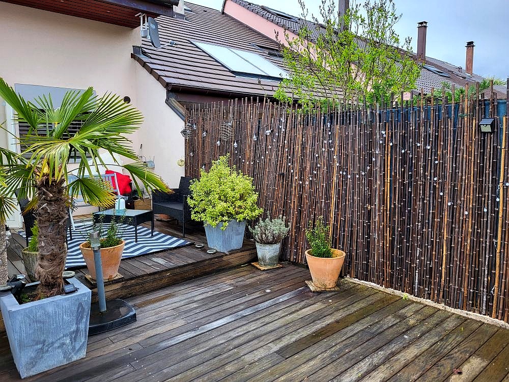 Clôture Bambou, Palissade Noir Gamme Sauvage Irrégulière PASO / 2-WBF250 – Image 3