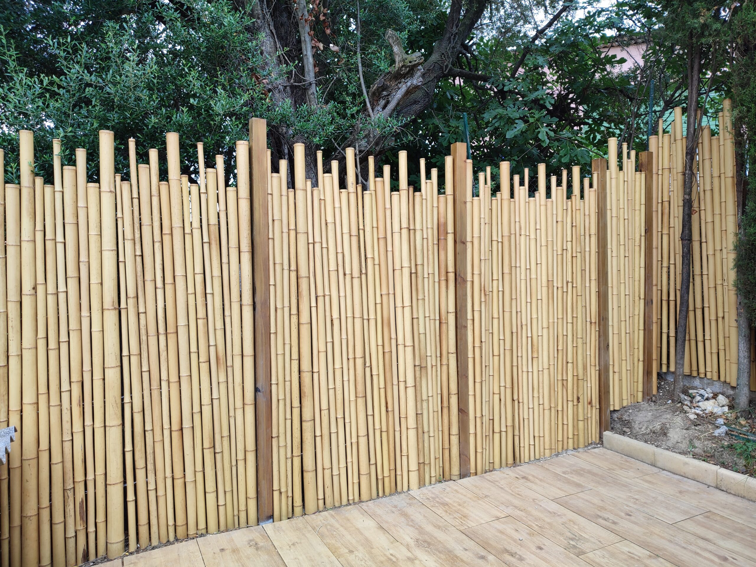 Clôture Bambou Naturel Gamme Zen Irrégulier TIKO / ZF200 – Image 3