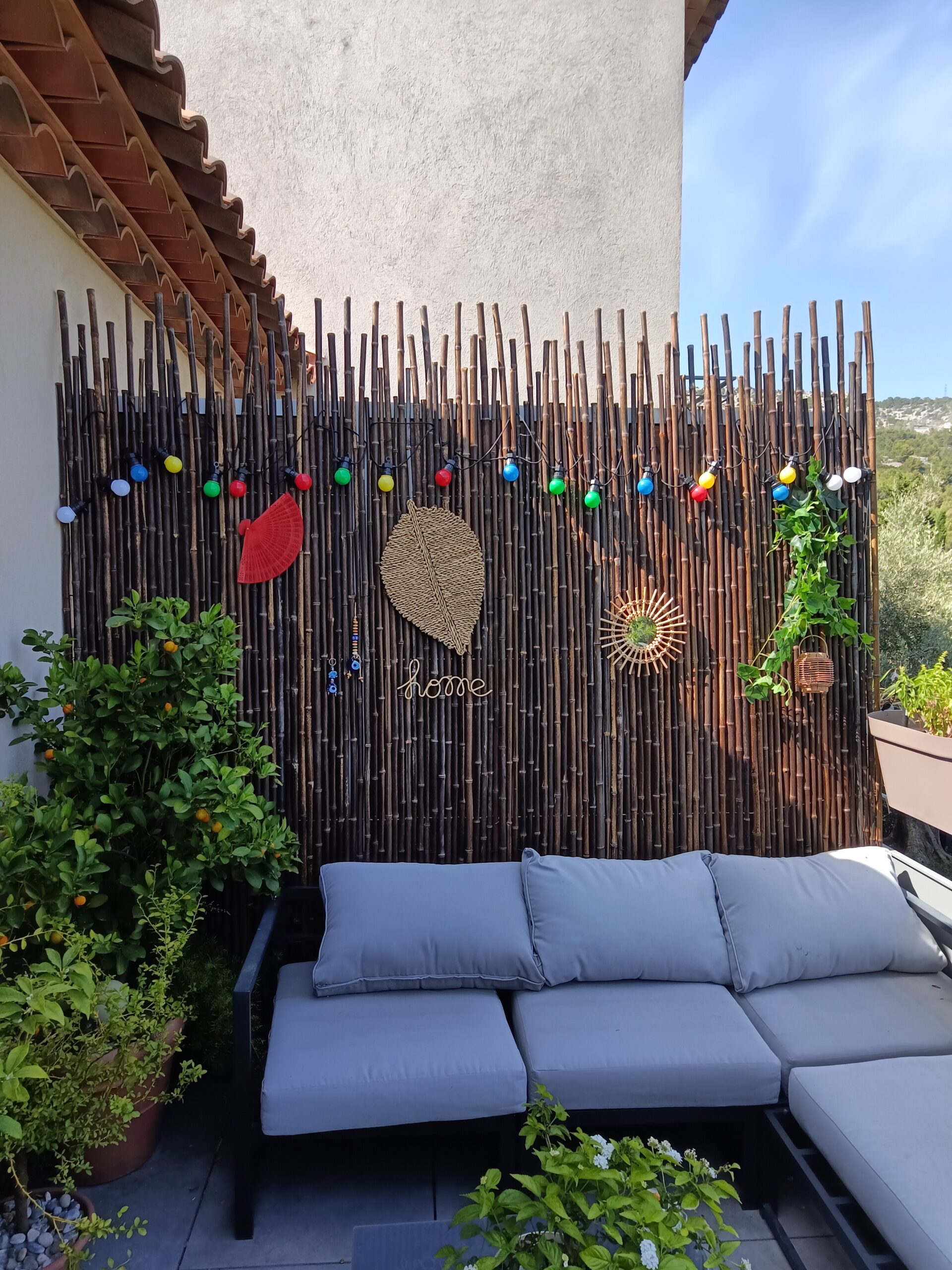 Clôture Bambou, Palissade Noir Gamme Sauvage Irrégulière PASO / 2-WBF250 – Image 4