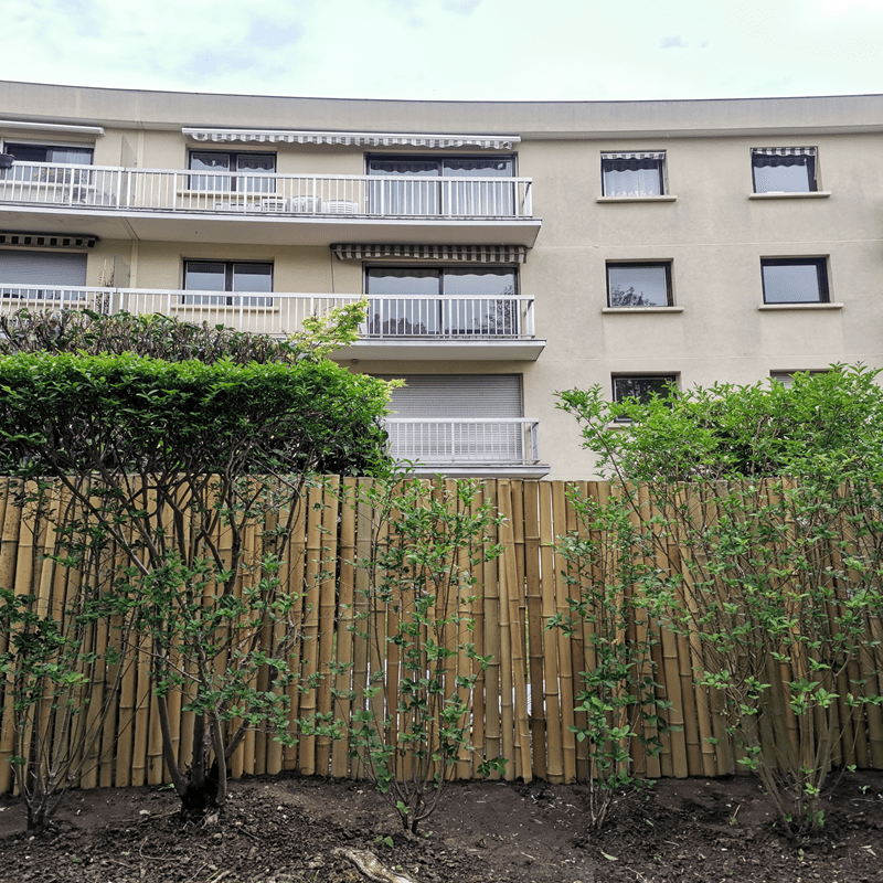 Clôture Bambou Occultante Gamme Régulière Naturel DITO / 5-RF200 – Image 5