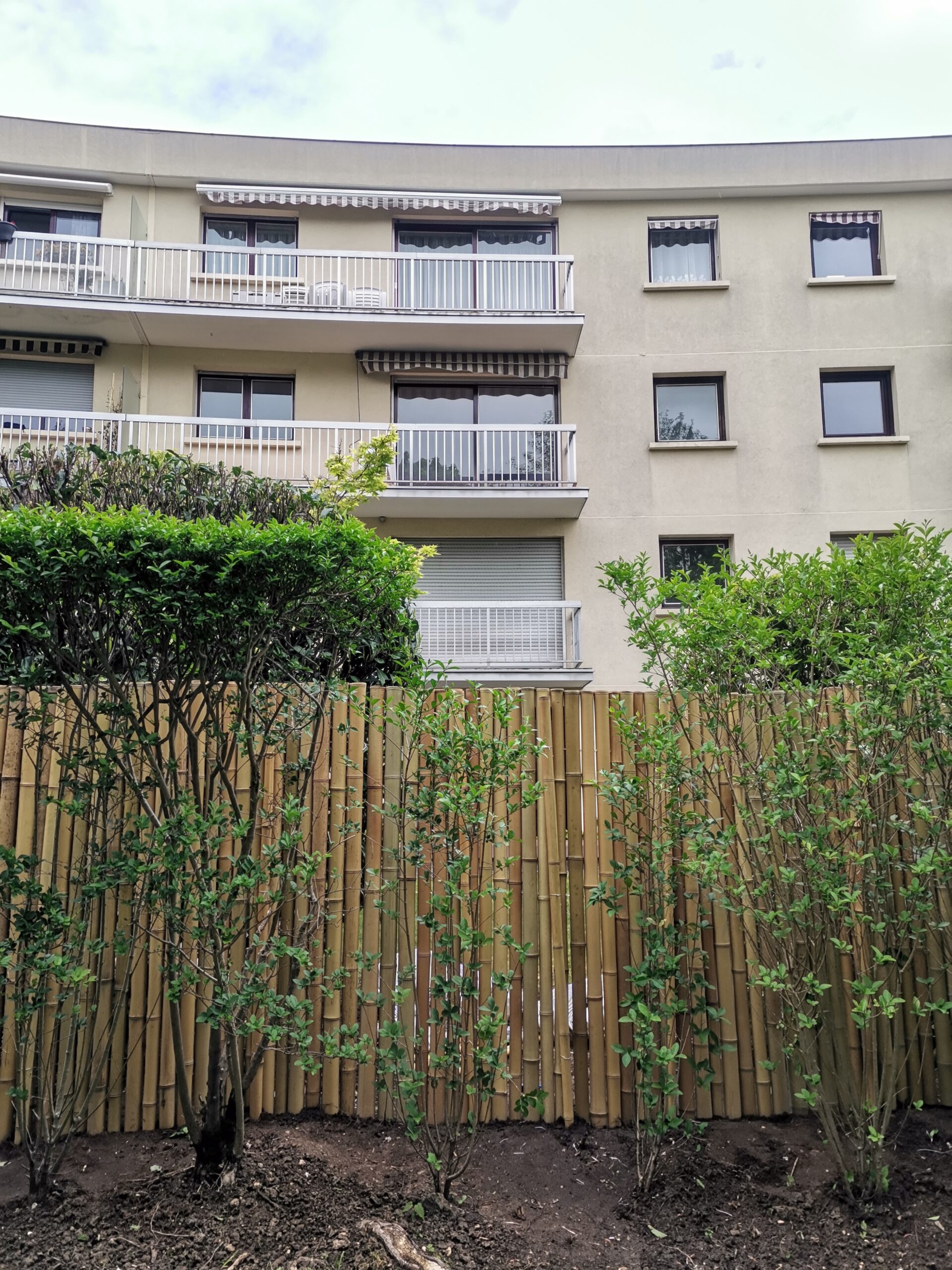 Clôture Bambou Occultante Gamme Régulière Naturel LISA / 7-RF150 – Image 3