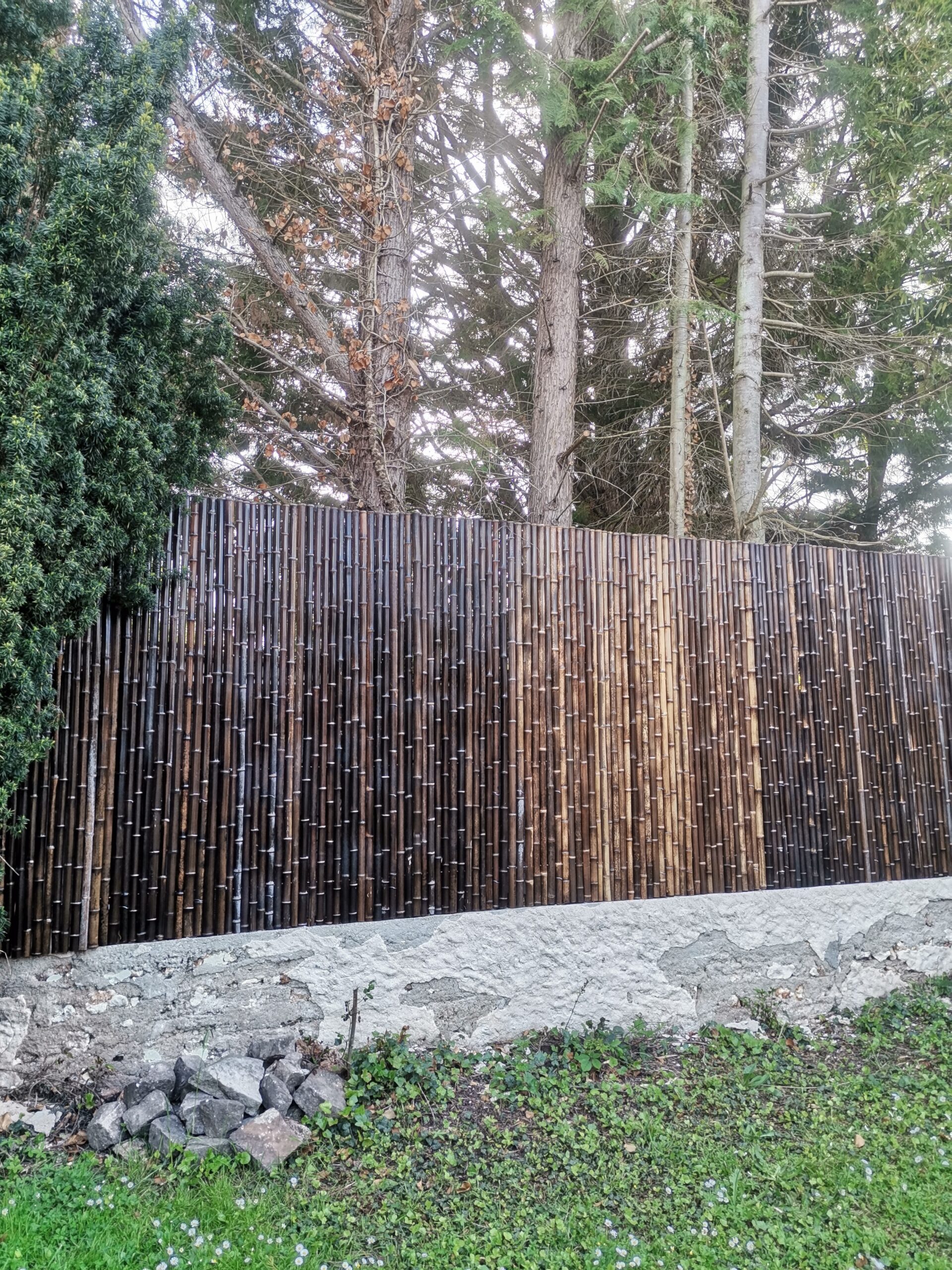 Clôture Bambou, Claustra Noir Occultante Gamme Régulière VUNI / 5-RBF200 – Image 2