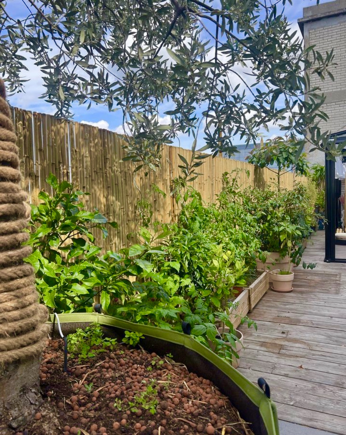 Clôture Bambou Gamme régulière SIPA / 2-RF100 – Image 4