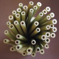 Lot de 20 pailles en bambou et 4 goupillons