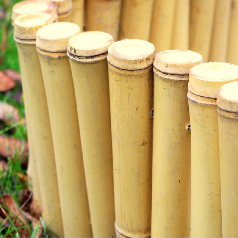 Lot de 2 Bordures de Jardin en Bambou Naturel Régulière BIRA / 3-RF020 – Image 4
