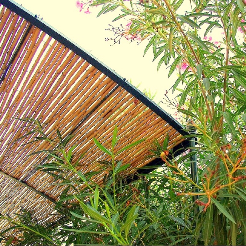 Clôture, Brise vue Bambou Palissade Naturelle Gamme Régulière BRIA / 2-RF150 – Image 7