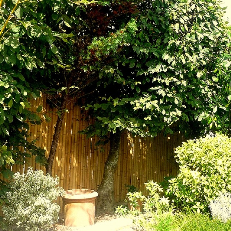 Clôture Bambou Occultante Gamme Régulière Naturel PITA / 5-RF150 – Image 8