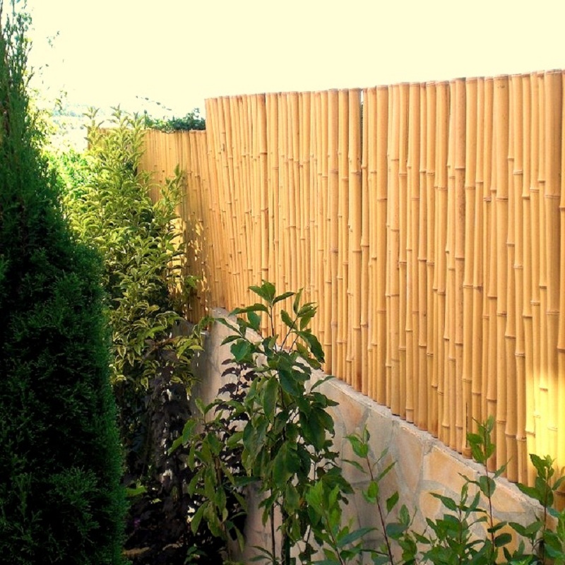 Clôture Bambou Occultante Gamme Régulière Naturel PITA / 5-RF150 – Image 9
