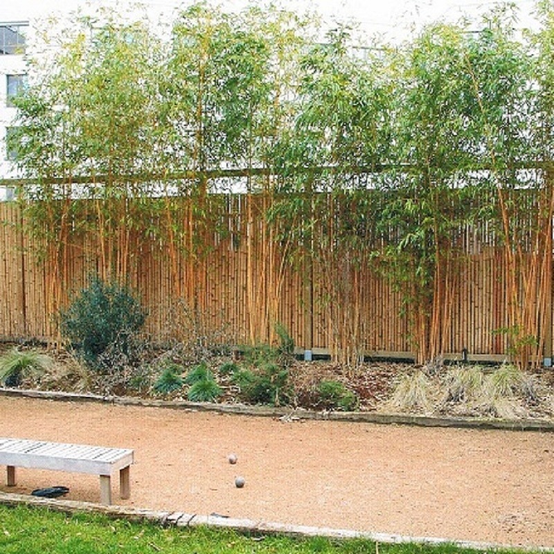 Clôture Bambou Occultante Gamme Régulière Naturel DITO / 5-RF200 – Image 7