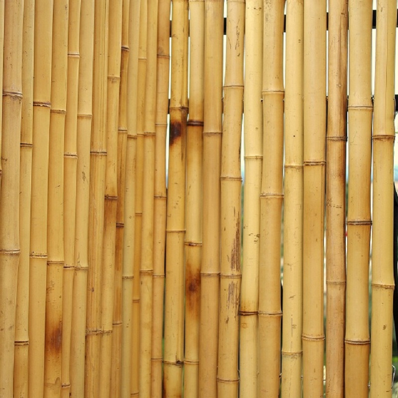 Clôture Bambou Occultante Gamme Régulière Naturel FURO / 5-RF250 – Image 3