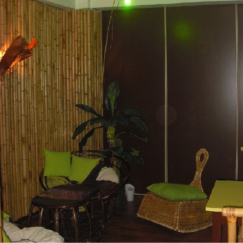 Clôture Bambou Massive et Occultante Gamme Régulière Naturel GION / 7-RF250 – Image 2