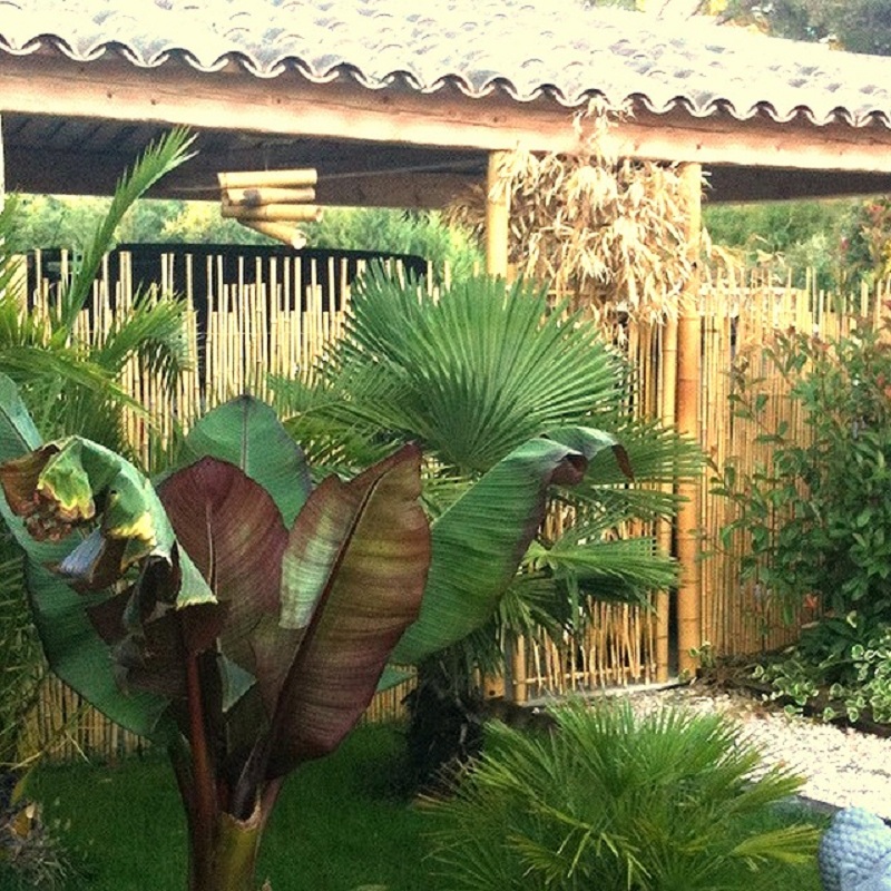 Clôture Bambou Naturel Gamme Sauvage Irrégulier LISO / 2-WF200 – Image 3