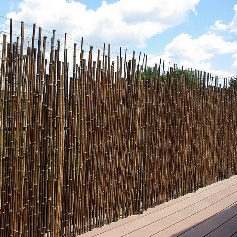 Clôture Bambou Noir Sauvage Irrégulière DUSI / 2-WBF150 – Image 4