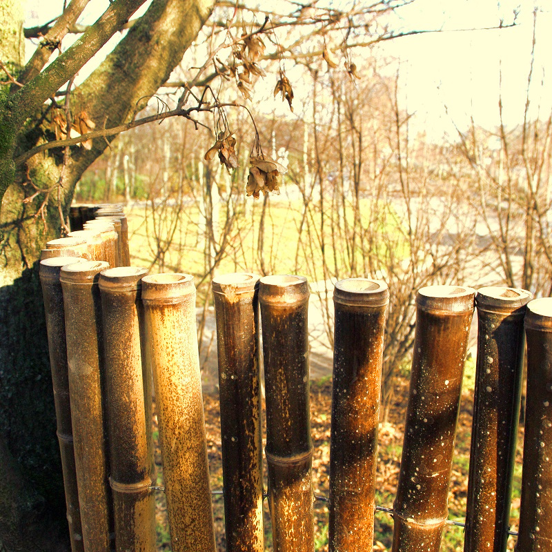 Clôture Bambou Noir Gamme Sauvage Régulière FARO / 2-RWBF150 – Image 3