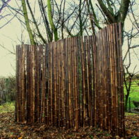 Clôture Bambou Noir Gamme Sauvage Régulière FARO / 2-RWBF150