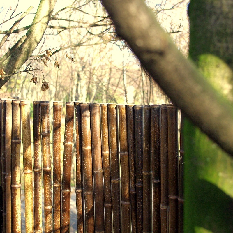 Clôture Bambou Noir Gamme Sauvage Régulière FINE / 2-RWBF200 – Image 3