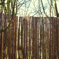 Clôture Bambou Noir Gamme Sauvage Régulière FORE / 2-RWBF250