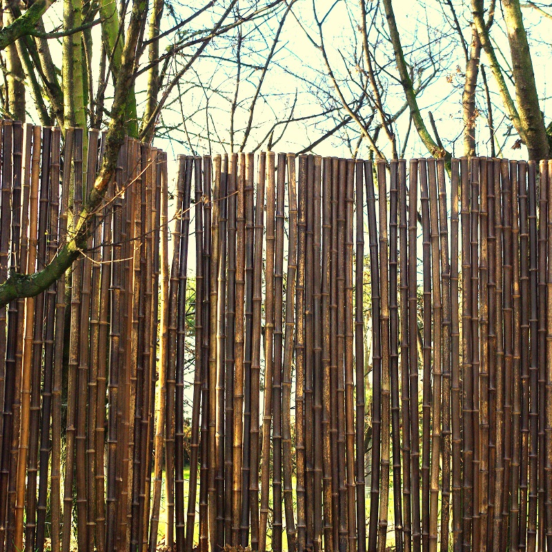 Clôture Bambou Noir Gamme Sauvage Régulière FORE / 2-RWBF250 – Image 2