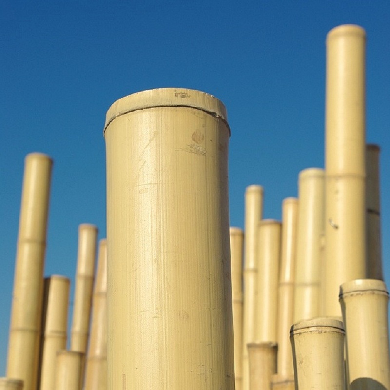 Clôture Bambou Naturel Gamme Zen Irrégulier ROCK / ZF250 – Image 5