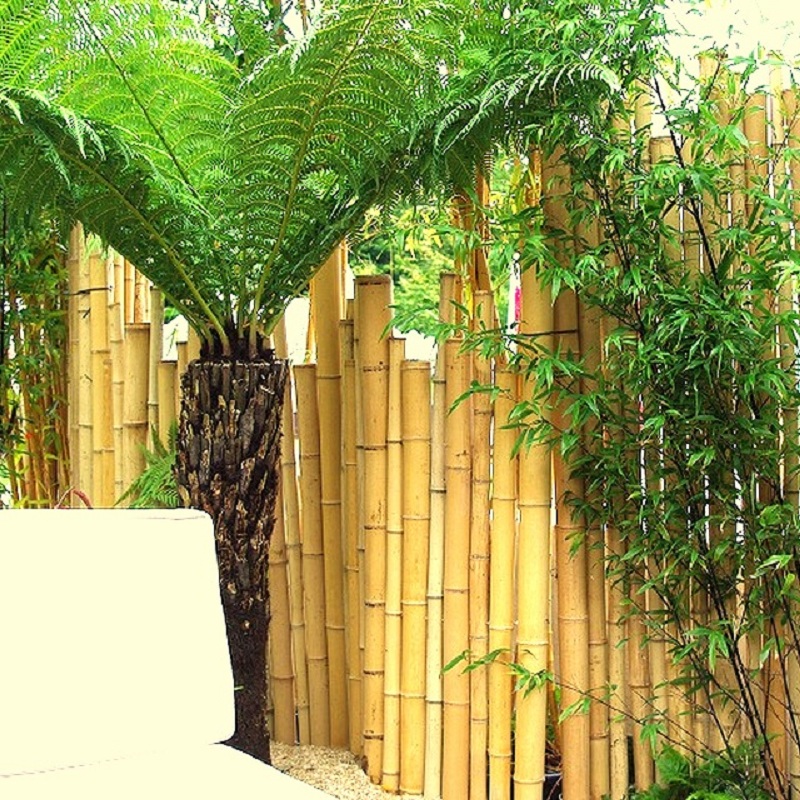 Clôture Bambou Naturel Gamme Zen Irrégulier WITO / ZF150 – Image 5