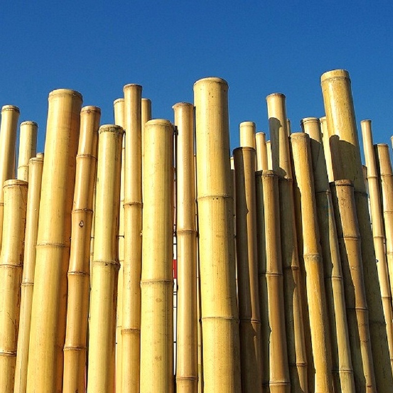 Clôture Bambou Naturel Gamme Zen Irrégulier WITO / ZF150 – Image 4